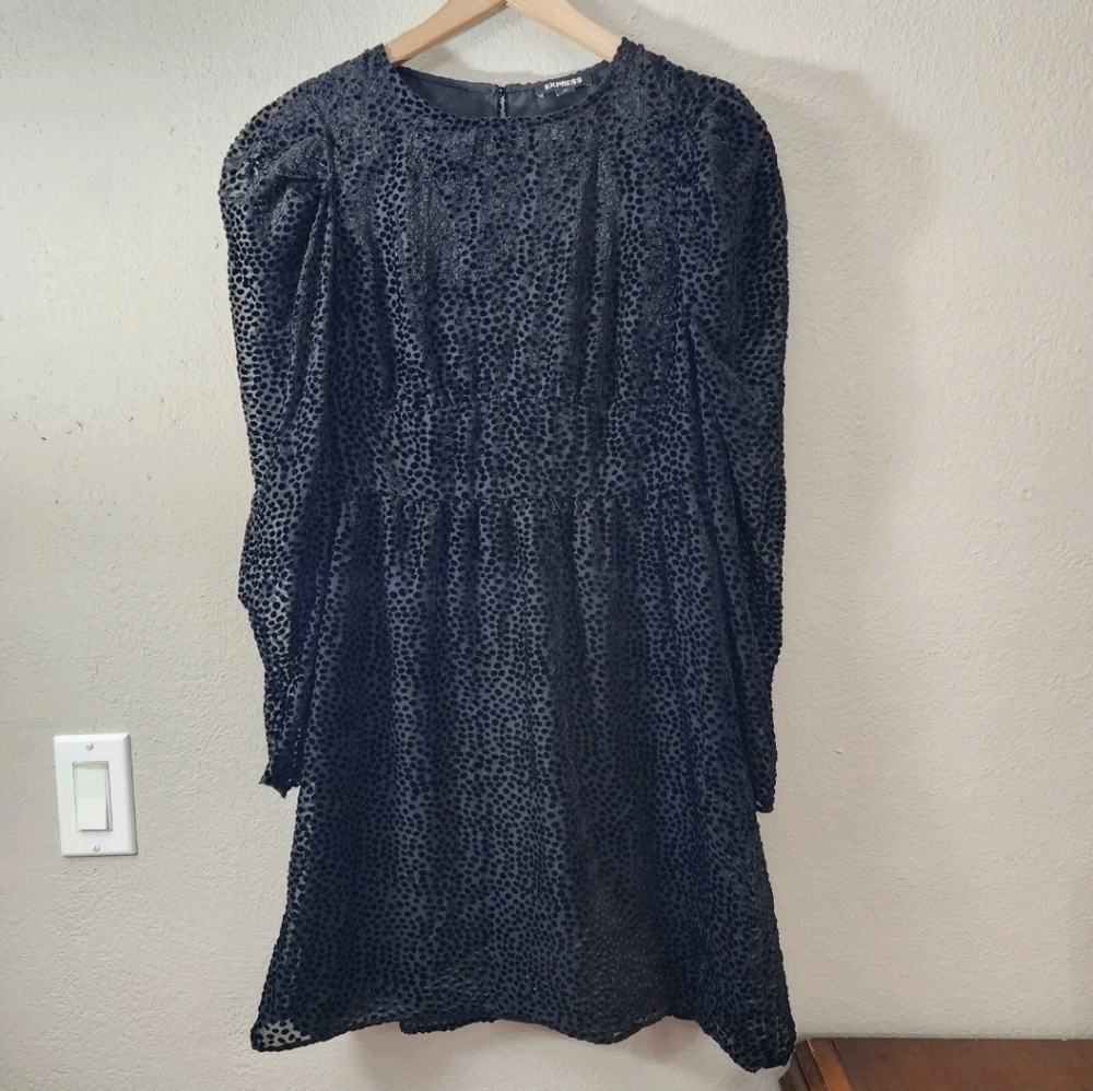 Express • Black Velvet Polka Dot Dress - Picture 4 of 12